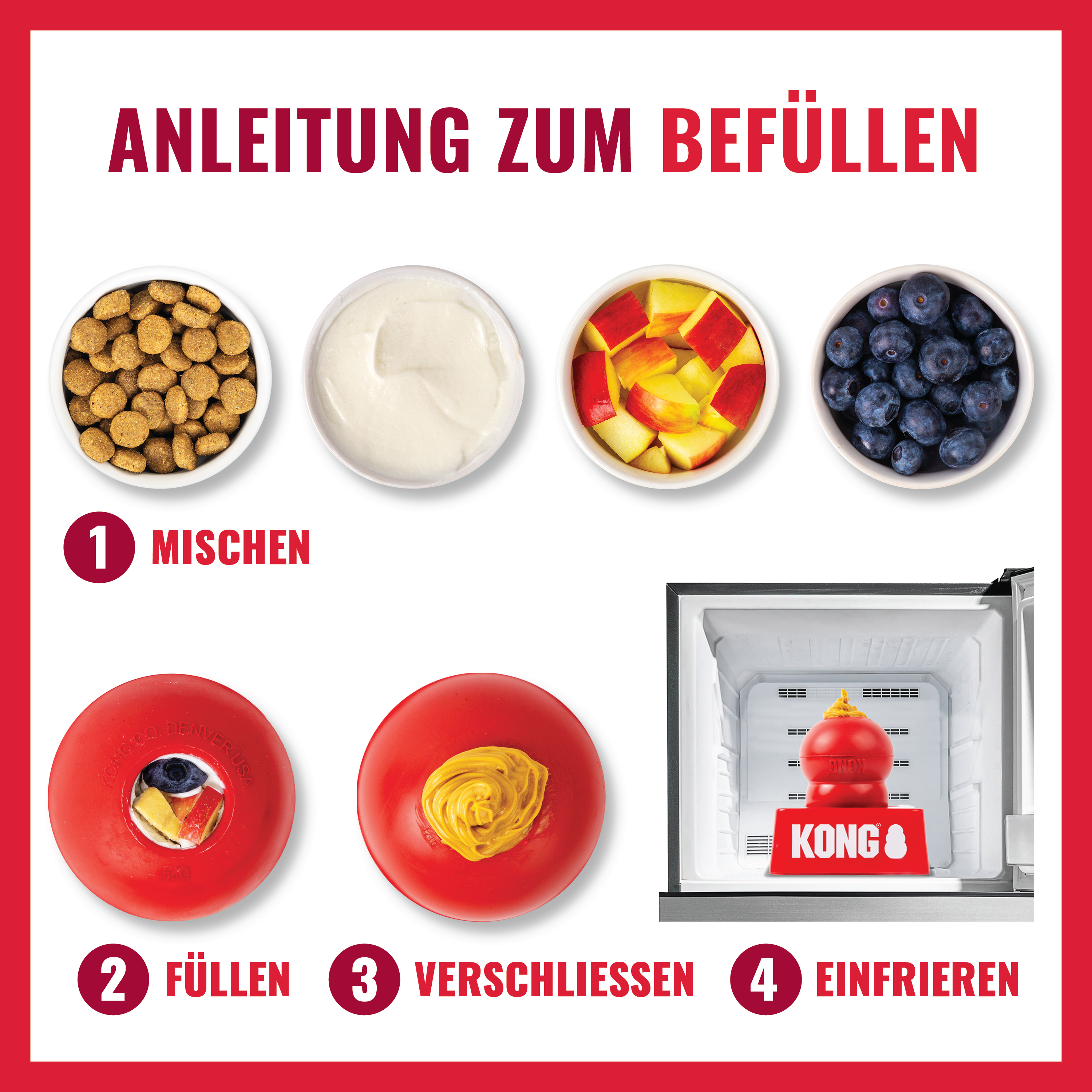 KONG Classic