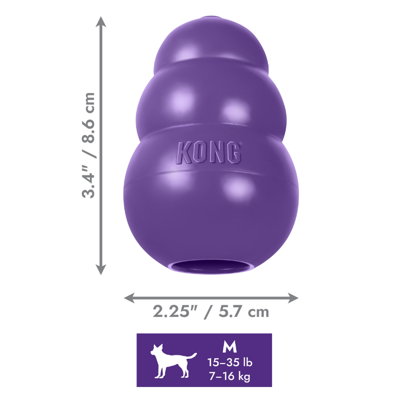 KONG Senior