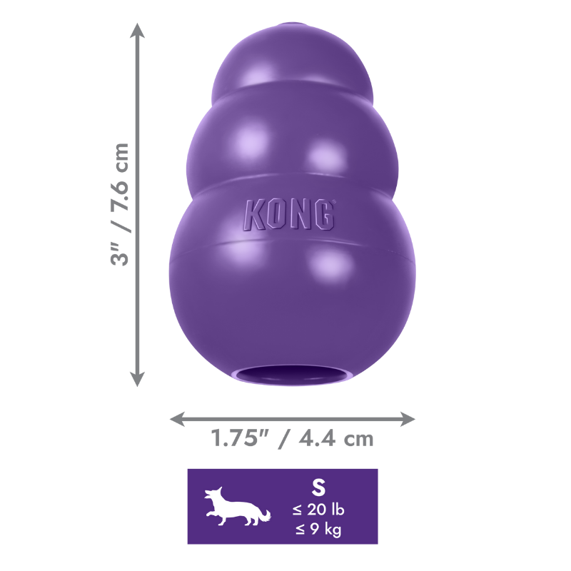 KONG Senior