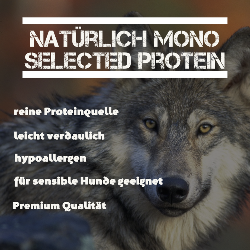 Leitwolf Mono Adult Pferd & Kartoffel