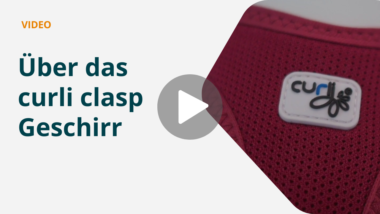 Produktvorstellung curli clasp Geschirr