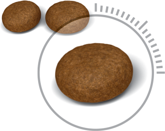 ROYAL CANIN Hair & Skin 33