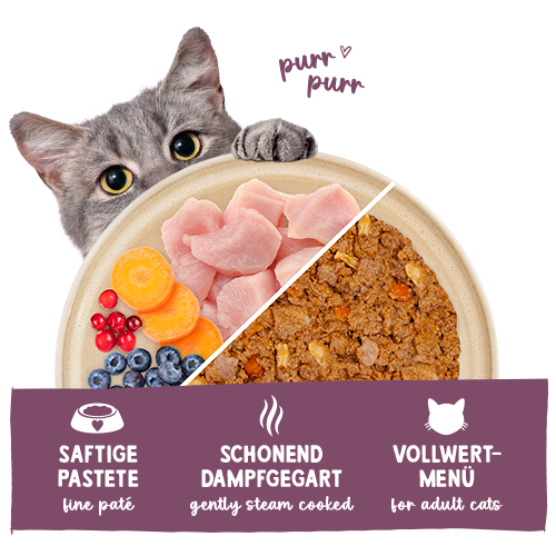 Sanabelle Freshe Mieze Huhn 100 g