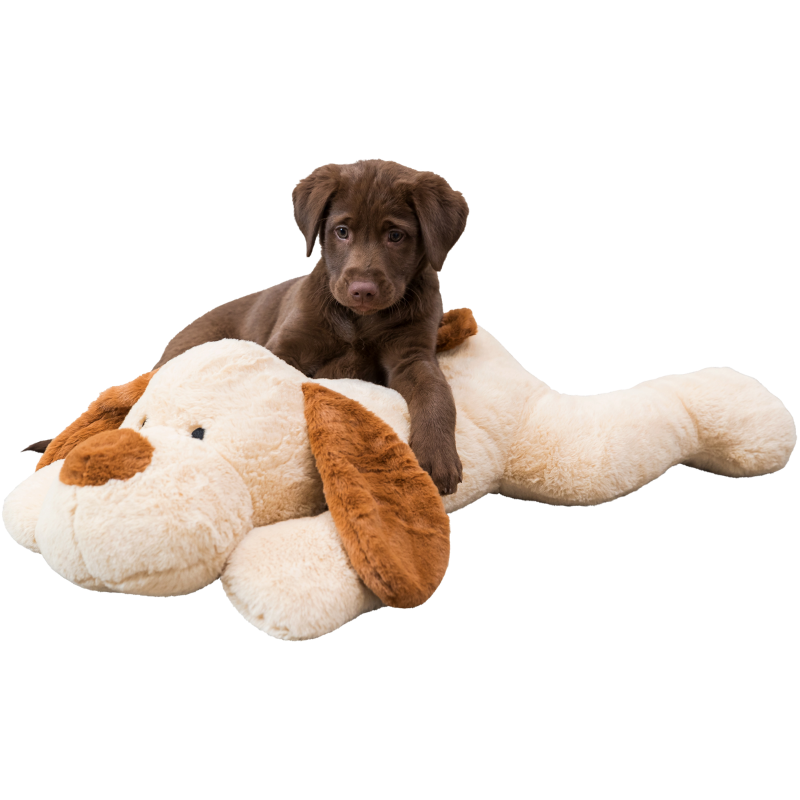 TRIXIE Ankuschelhund Benny
