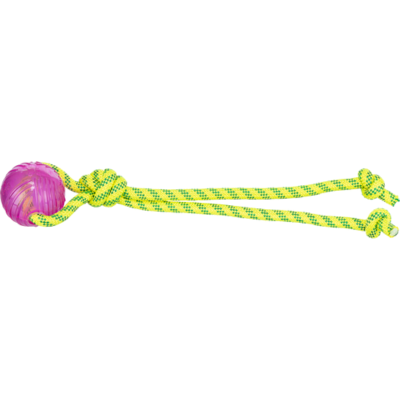TRIXIE Aqua Toy Spieltau mit Ball