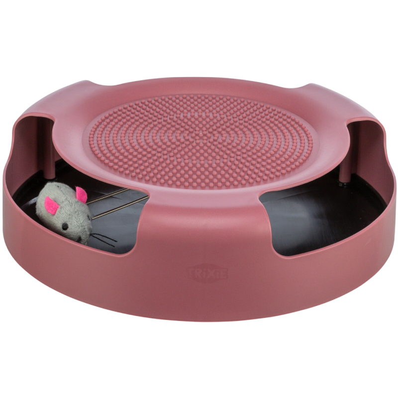 Trixie Catch The Mouse