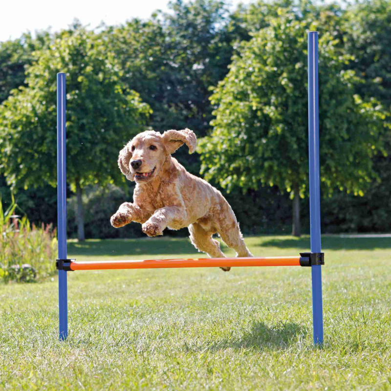 TRIXIE Fun Agility Hürde