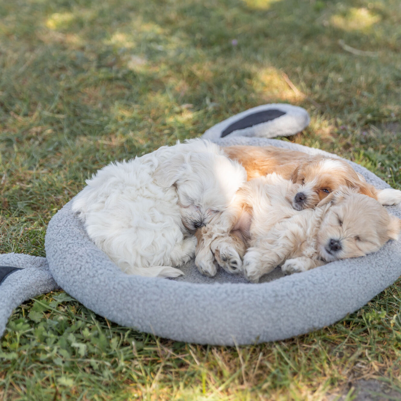 TRIXIE Junior Bett Hund