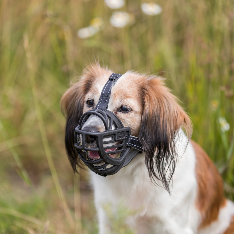 TRIXIE Maulkorb Muzzle Flex