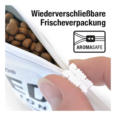 Wildsterne Breed Selection Adult Chihuahua