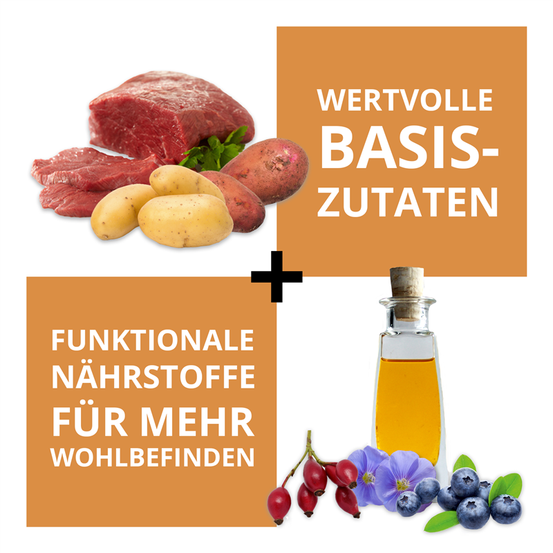 Wildsterne Breed Selection Adult M