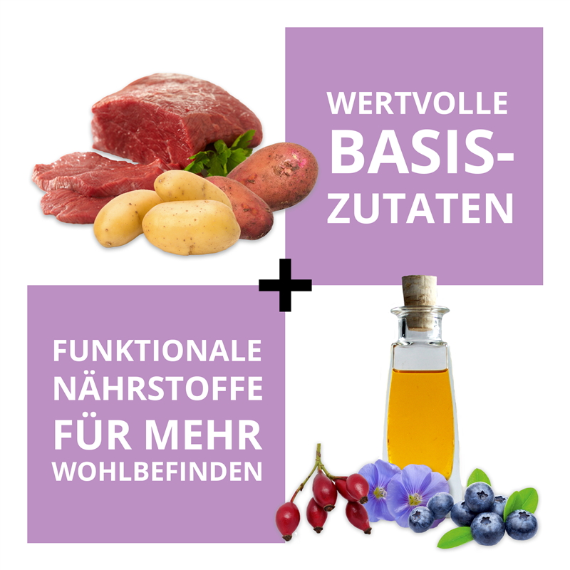 Wildsterne Breed Selection Adult S