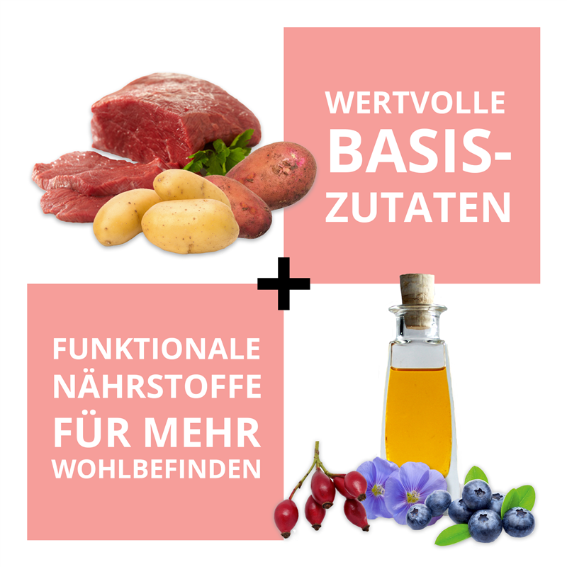 Wildsterne Breed Selection Adult XS