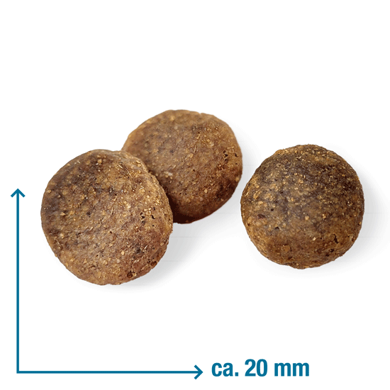 Wildsterne Ente & Kartoffel Adult