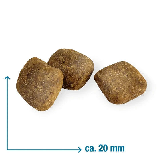 Wildsterne Ente & Kartoffel Junior