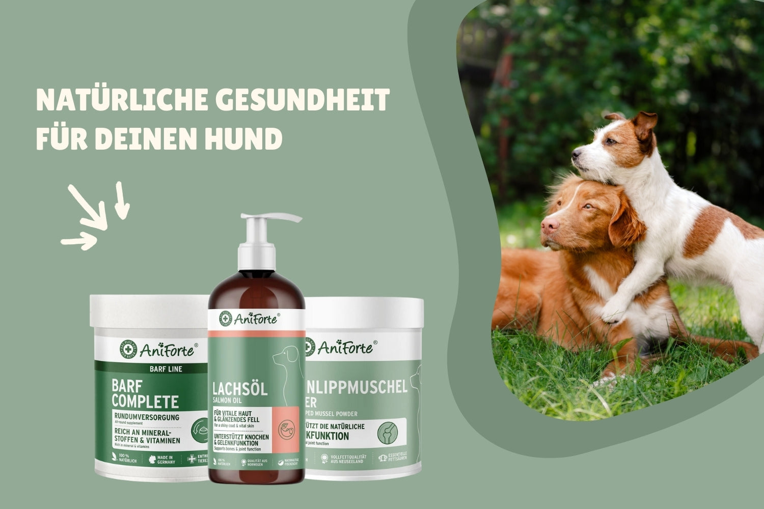 AniForte Futterzusätze für Hunde