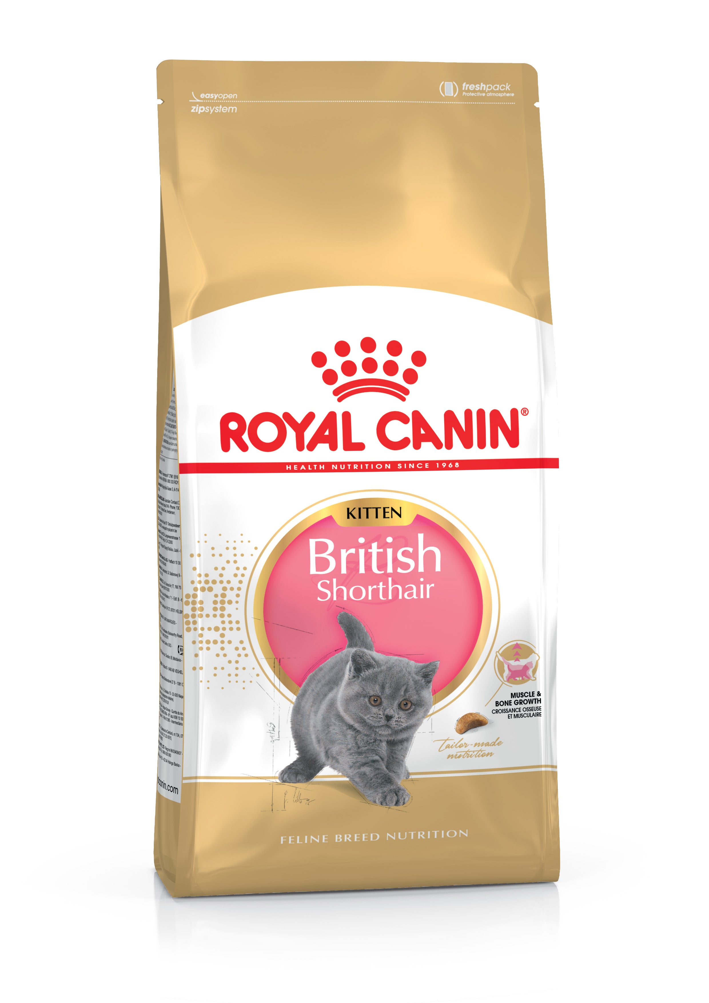 Royal Canin Feline British Shorthair Kitten