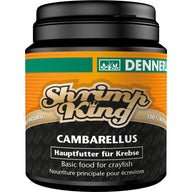 Dennerle Shrimp King Cambarellus