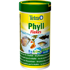 Tetra Phyll