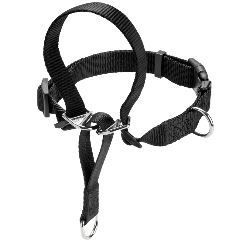 Ausbildungsgeschirr Follow Me - M (50 cm)