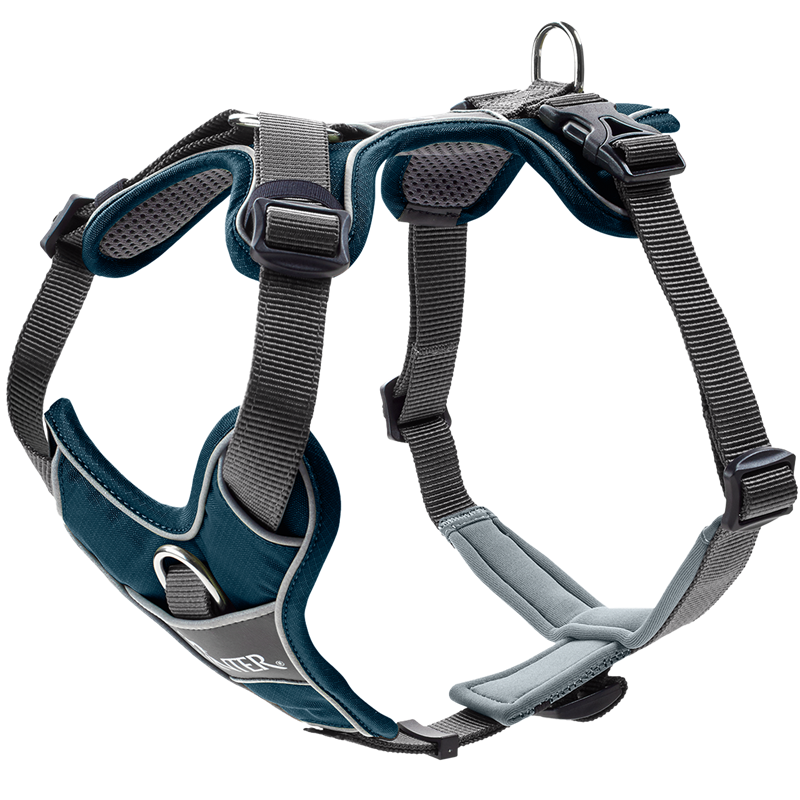 [Räumungsverkauf] HUNTER Geschirr Divo