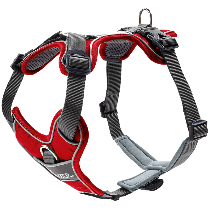 [Räumungsverkauf] HUNTER Geschirr Divo