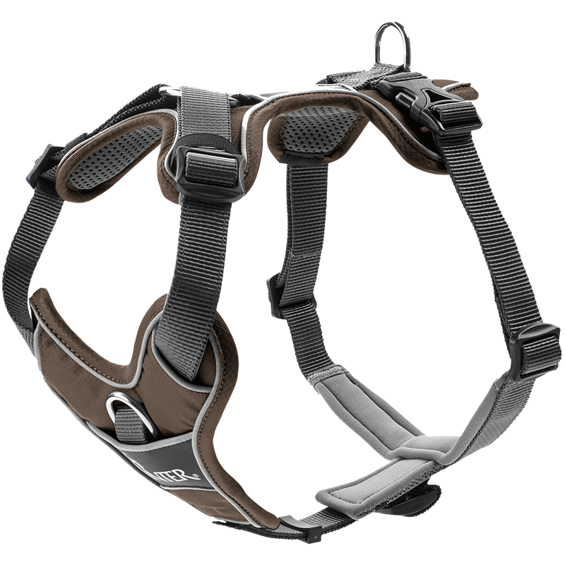 [Räumungsverkauf] HUNTER Geschirr Divo