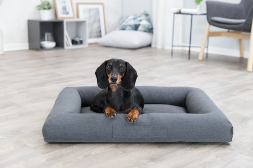 Vital Bett Pulito eckig - 80 × 60 cm
