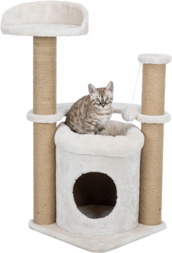 Kratzbaum Nayra - 83 cm