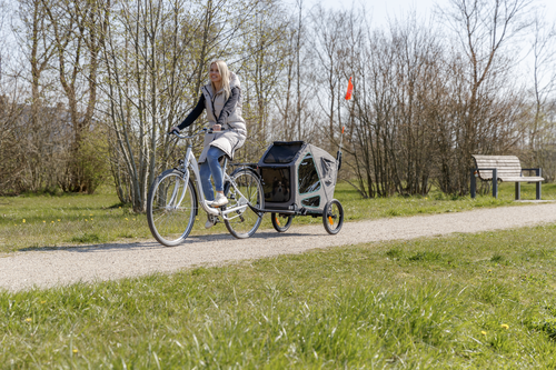 Fahrrad-Anhänger - grau/salbei - M: 71 × 95 × 85/138 cm