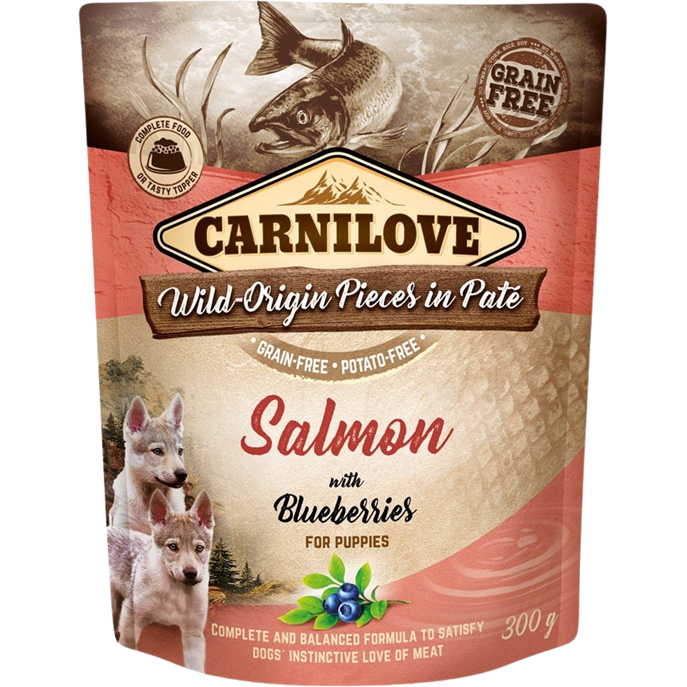 PB Paté Puppy - 300 g - Lachs & Blaubeere