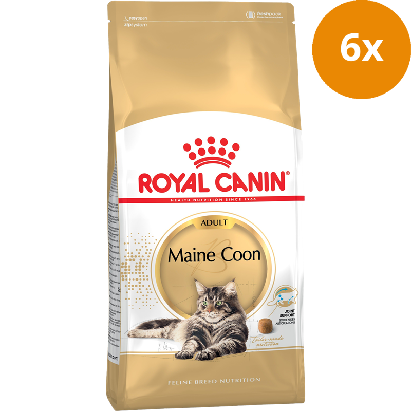 ROYAL CANIN Maine Coon 31