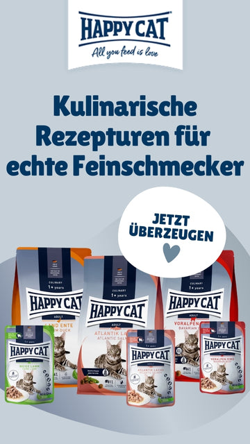 Happy Cat Culinary