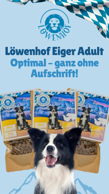 Löwenhof Eiger Adult
