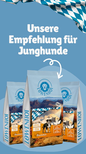Löwenhof Junior Banner