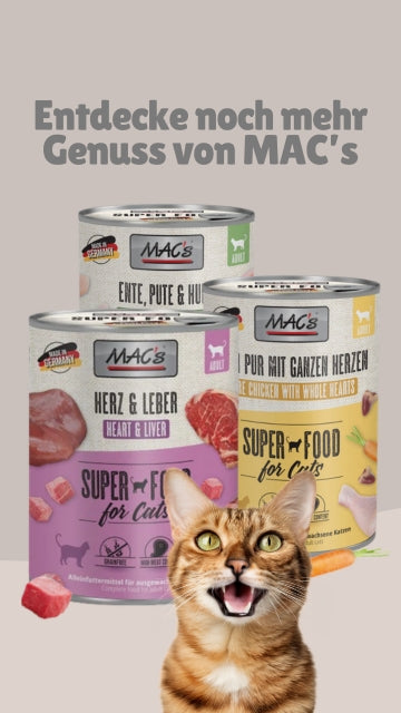 MAC's Katzennassfutter Allgemein