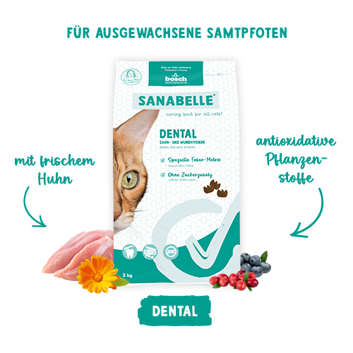 Sanabelle Dental