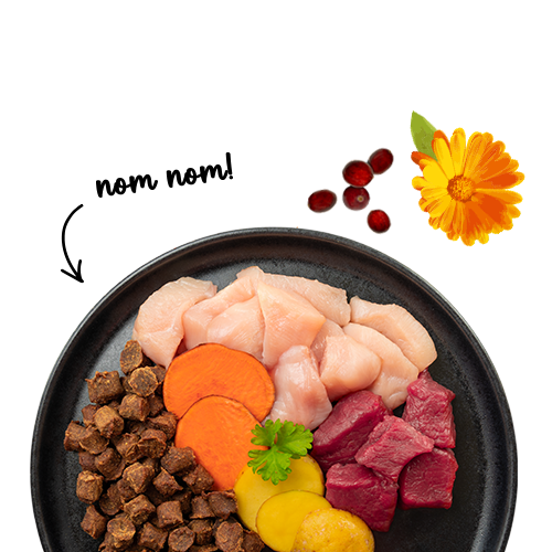 Sanabelle Juicy Land-Ente