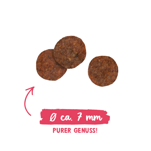 Sanabelle Adult Huhn