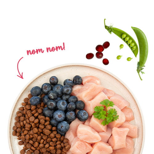 Sanabelle Adult Huhn