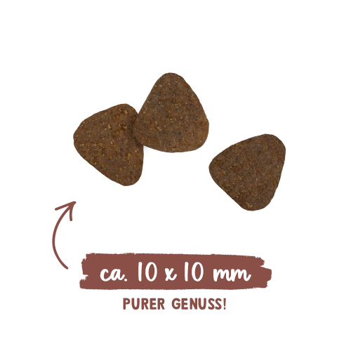 Sanabelle Indoor mit Perlhuhn