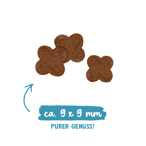 Sanabelle Kitten Huhn