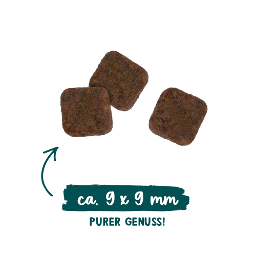 Sanabelle Outdoor mit Ente