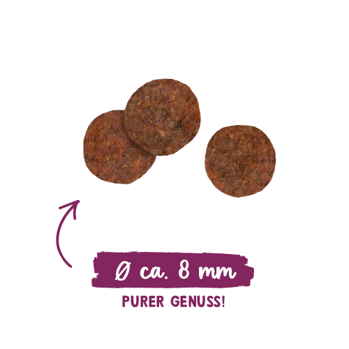 Sanabelle Senior Huhn