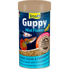 Tetra Guppy