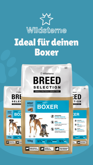 Wildsterne Boxer Banner
