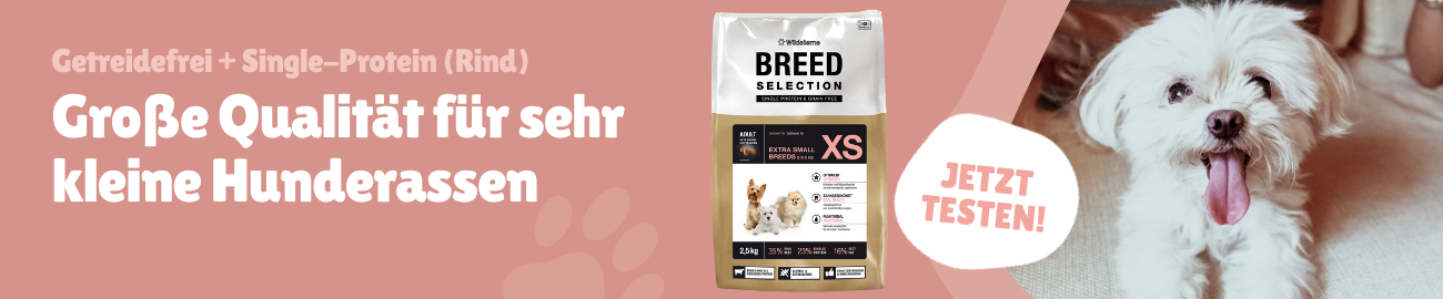 Wildsterne Breed Selection Adult XS Banner