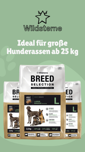 Wildsterne Breed Selection Adult L Banner