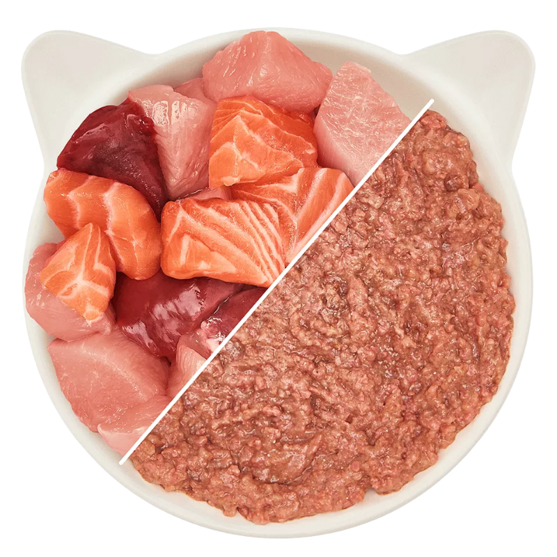 Wow Cat Dose Adult Huhn & Lachs 200g