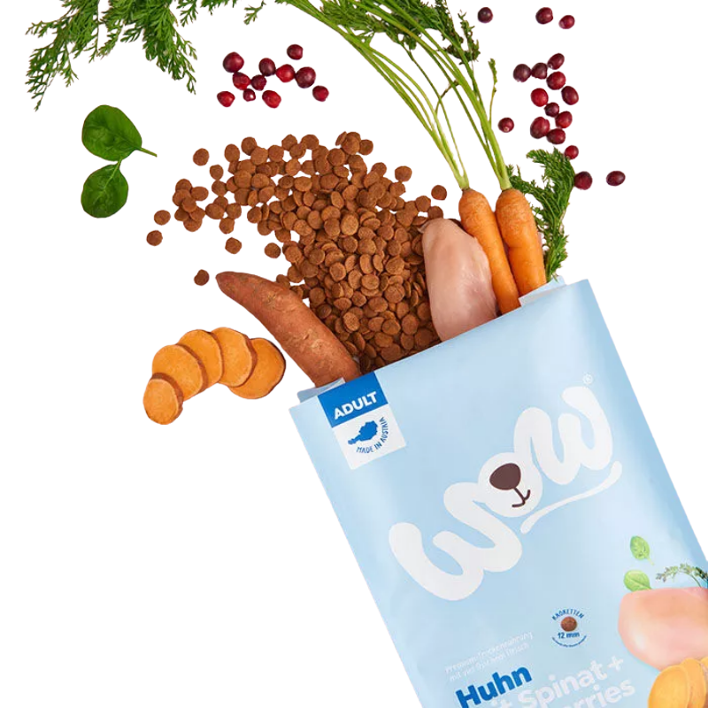 Wow Dog Trocken Adult Huhn